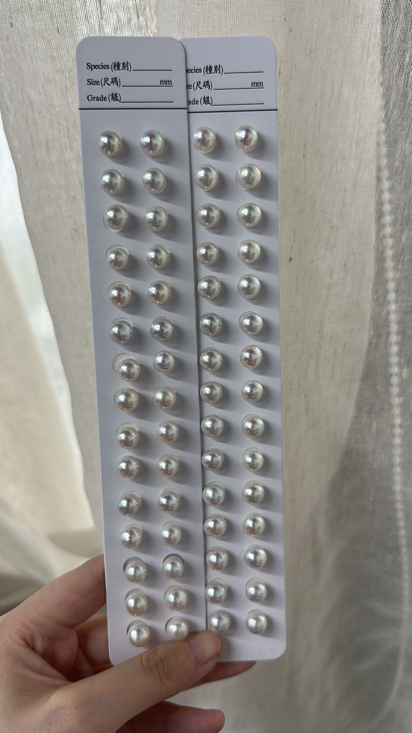 7-8mm 近正圓無暇限時優惠耳釘